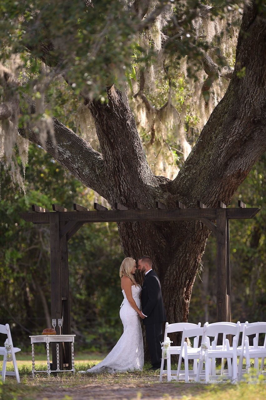 Ever_After_Farms_Nuptials_Under_Pergola_Under_Oak_Tree_1 Ever After Farms