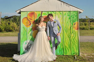 download ever after farms peach barn download ever after farms peach barn