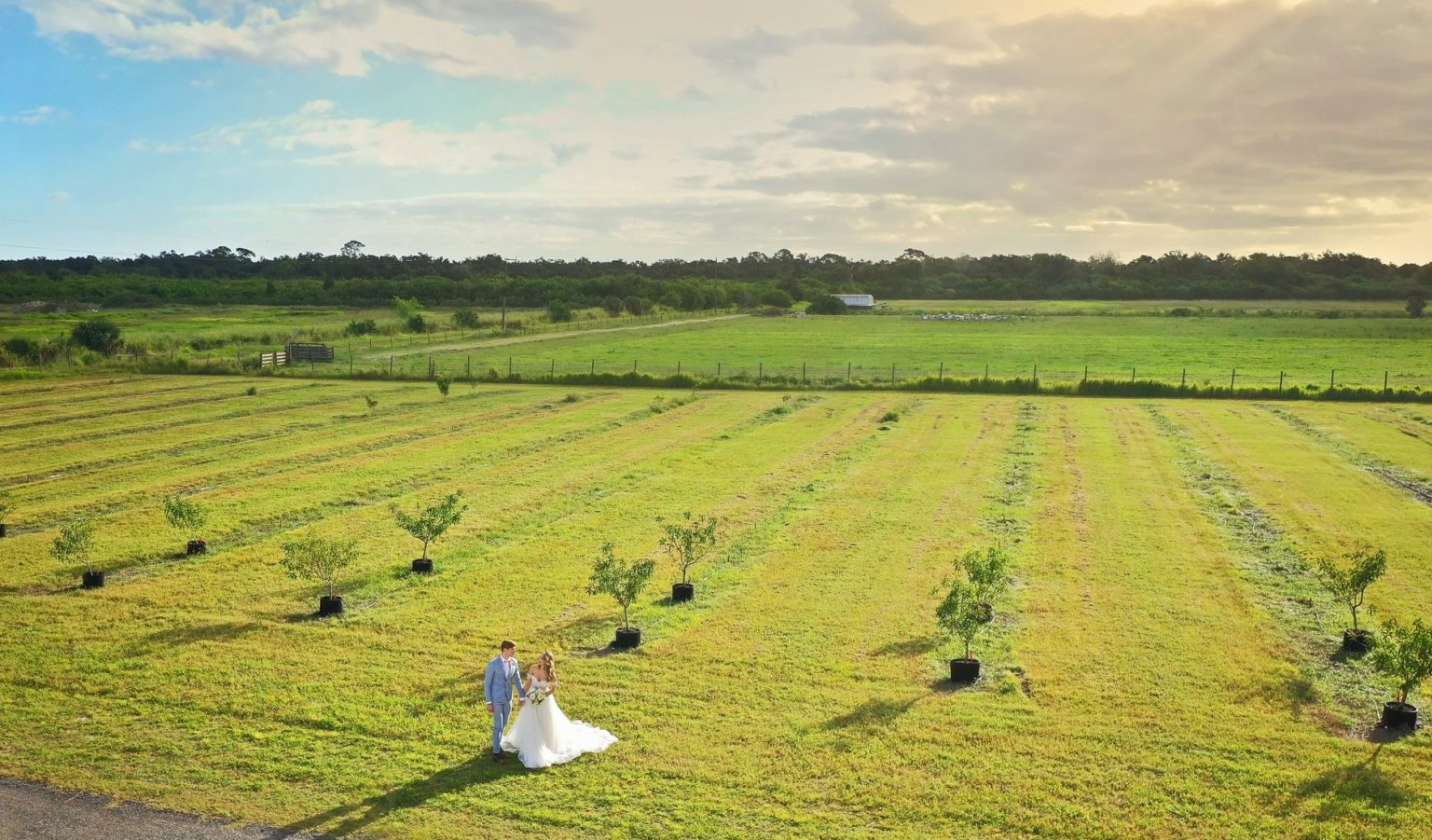 download ever after farms peach barn download ever after farms peach barn
